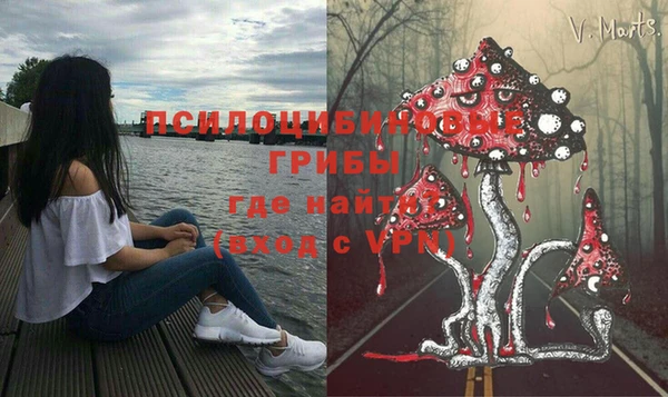 бошки Балахна