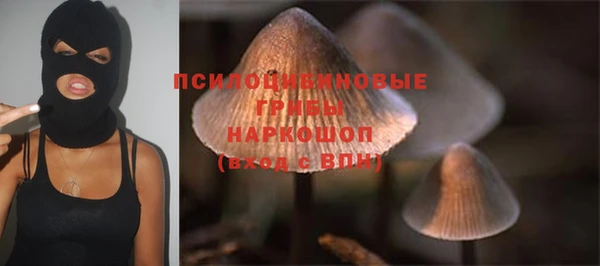 твердый Баксан