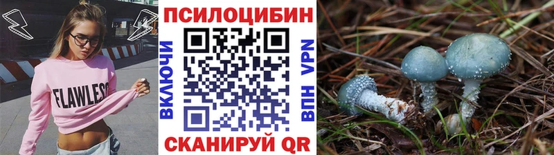 Галлюциногенные грибы MAGIC MUSHROOMS  Любим 
